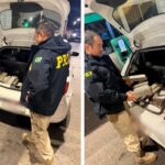 Jovens são presos com 50 kg de maconha na BR-101 em Porto Belo (SC)