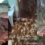Chuva intensa provoca quedas de árvores e enxurrada em cidades do Oeste