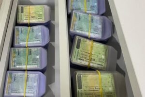 Detran/SC alerta: CNHs não retiradas até 2 de junho serão destruídas