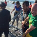 Luciano Hang participa da pesca da tainha em Bombinhas (SC)