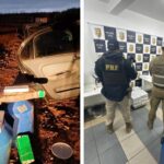 Ações integradas resultam na apreensão de quase 430 Kg de maconha em SC