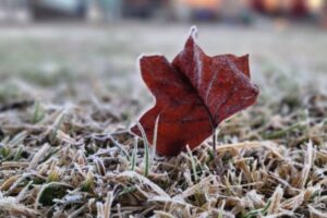 Frio intenso chega a Santa Catarina nesta quinta-feira (21)