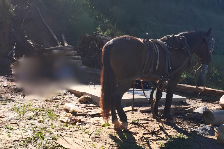 URGENTE: Homem é localizado morto sob veículo de arrasto em Brusque