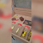 Grupo de estudos Abelhas UNIFEBE apresenta trabalho no 25º Conbrapi