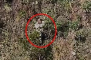 VÍDEO: Mulher passa mais de 24 horas em penhasco após ser jogada em MG