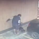 Homem amarra cão em carro estacionado e animal acaba arrastado por motorista em SC