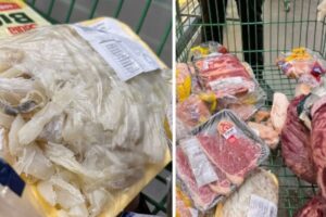 Carnes estragadas e frangos impróprios são apreendidos em supermercados de SC