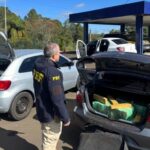 VÍDEO: Comboio com 360 quilos de maconha é interceptado no Meio-Oeste catarinense