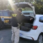 PRF intercepta mais de 400 quilos de maconha na BR-101