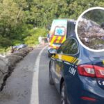 Casal morre após carreta sair da pista e cair em barranco na BR-376