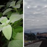 Frio intenso mobiliza abrigo municipal em Brusque