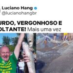 Luciano Hang critica suspensão da pesca da tainha e cobra reação de parlamentares