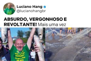 Luciano Hang critica suspensão da pesca da tainha e cobra reação de parlamentares