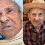 Morre aos 88 anos o Vovô Anésio, fenômeno das redes sociais ao lado do neto Caio Fiori