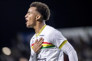 Brusque x Santa Cruz: confira ingressos, horários e orientações para a partida