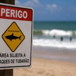 Jovem perde a perna após ataque de tubarão em praia de Recife; caso é o segundo em dois dias