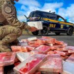 VÍDEO: Carreta com destino a Brusque é interceptada com quase 100 kg de cocaína no Paraná