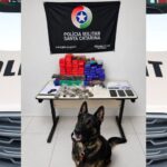 Polícia Militar apreende cerca de 50 quilos de maconha em Blumenau