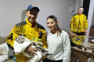Bombeiros salvam gato preso em churrasqueira após queda por duto de edifício