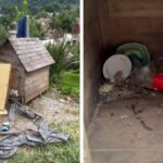 VÍDEO: Mulher é presa em flagrante por maus-tratos a cachorro em Botuverá