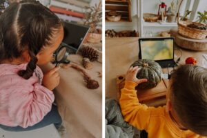 CEI Lídia Terezinha transforma contato com a natureza em aprendizado