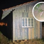 Jovem é encontrado morto após vizinhos ouvirem gritos de socorro em Joinville