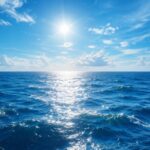 Dia Mundial dos Oceanos reforça a importância da preservação