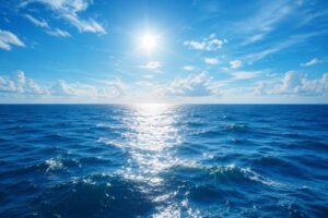 Dia Mundial dos Oceanos reforça a importância da preservação