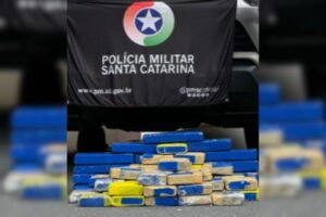 Cães farejadores ajudam PM a encontrar 31 Kg de maconha em Blumenau