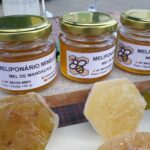 Projeto fortalece agricultores, artesãos e pequenos produtores em Brusque