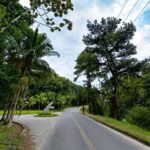 Manutenção da Celesc pode afetar trânsito na Travessa Lagoa Dourada