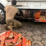 VÍDEO: Cão farejador encontra 581 kg de maconha escondidos em carreta na BR-282