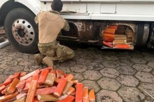VÍDEO: Cão farejador encontra 581 kg de maconha escondidos em carreta na BR-282