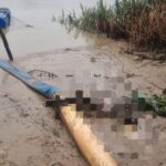 Corpo em avançado estado de decomposição é encontrado às margens de rio, em Ilhota (SC)