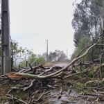 Municípios catarinenses decretam situação de emergência após temporais com granizo