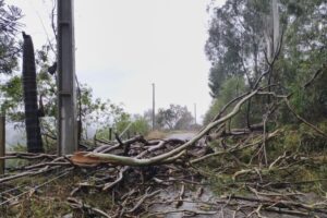 Municípios catarinenses decretam situação de emergência após temporais com granizo