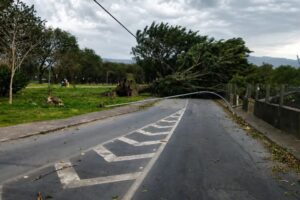 Sobe para três o número de mortes em SP devido à ventania
