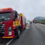 Carro é destruído por incêndio na BR-101