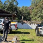 Casal é preso após 33 animais serem resgatados em casa tomada por fezes em Blumenau