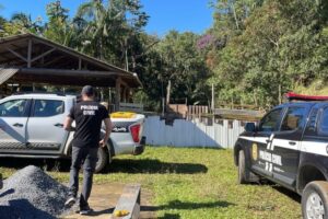 Casal é preso após 33 animais serem resgatados em casa tomada por fezes em Blumenau