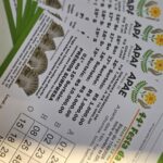 Apae de Brusque inicia venda de cartões de Bingo especial da Festa da instituição