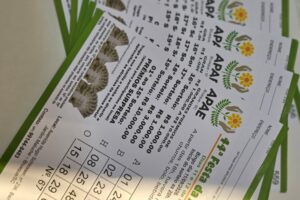 Apae de Brusque inicia venda de cartões de Bingo especial da Festa da instituição
