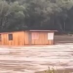 Casa é arrastada pela correnteza durante cheia do Rio das Antas no Rio Grande do Sul