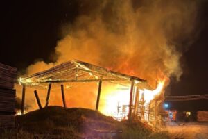 VÍDEO: Grande incêndio atinge serraria no bairro Trinta Reis e destrói veículos
