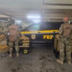 PRF/SC apreende quase meia tonelada de maconha transportada em guincho na BR 101