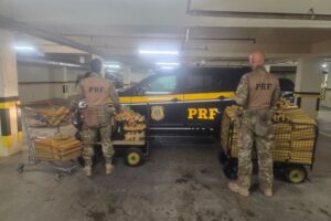 PRF/SC apreende quase meia tonelada de maconha transportada em guincho na BR 101
