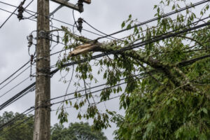 Celesc aponta causa de interrupção de energia que atingiu bairros de Brusque