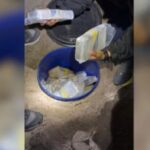 Mais de 100 quilos de drogas são encontrados em galinheiro em SC