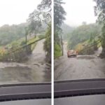 Árvore cai na rua Ricardo Knihs durante chuva em Brusque