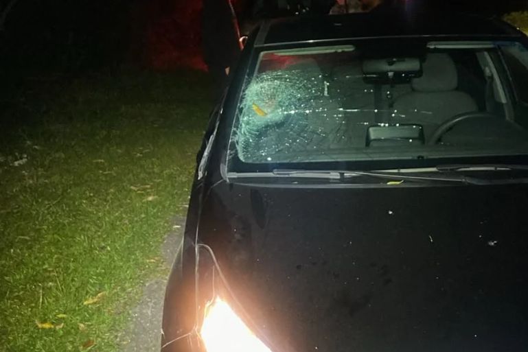 Pedestre sofre traumatismo craniano após ser atropelado na SC-402, em Florianópolis